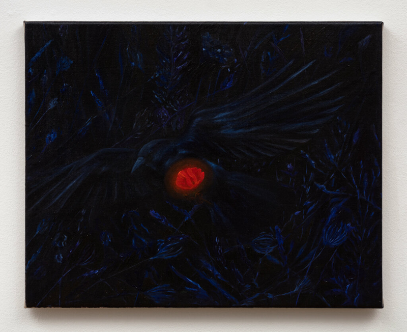 Crow with a Poppy