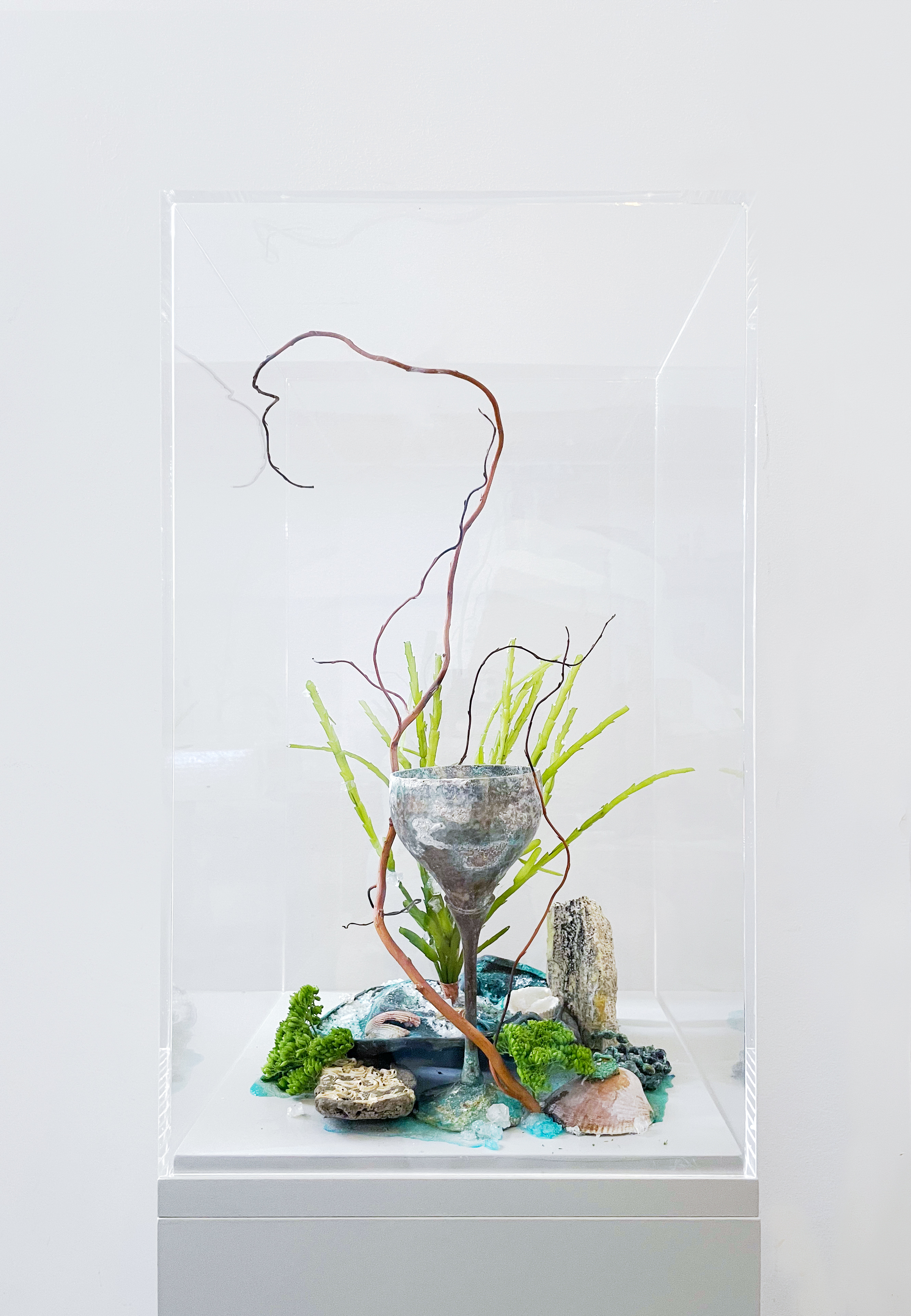 Bloom (Heavy Falls Softly Underwater)