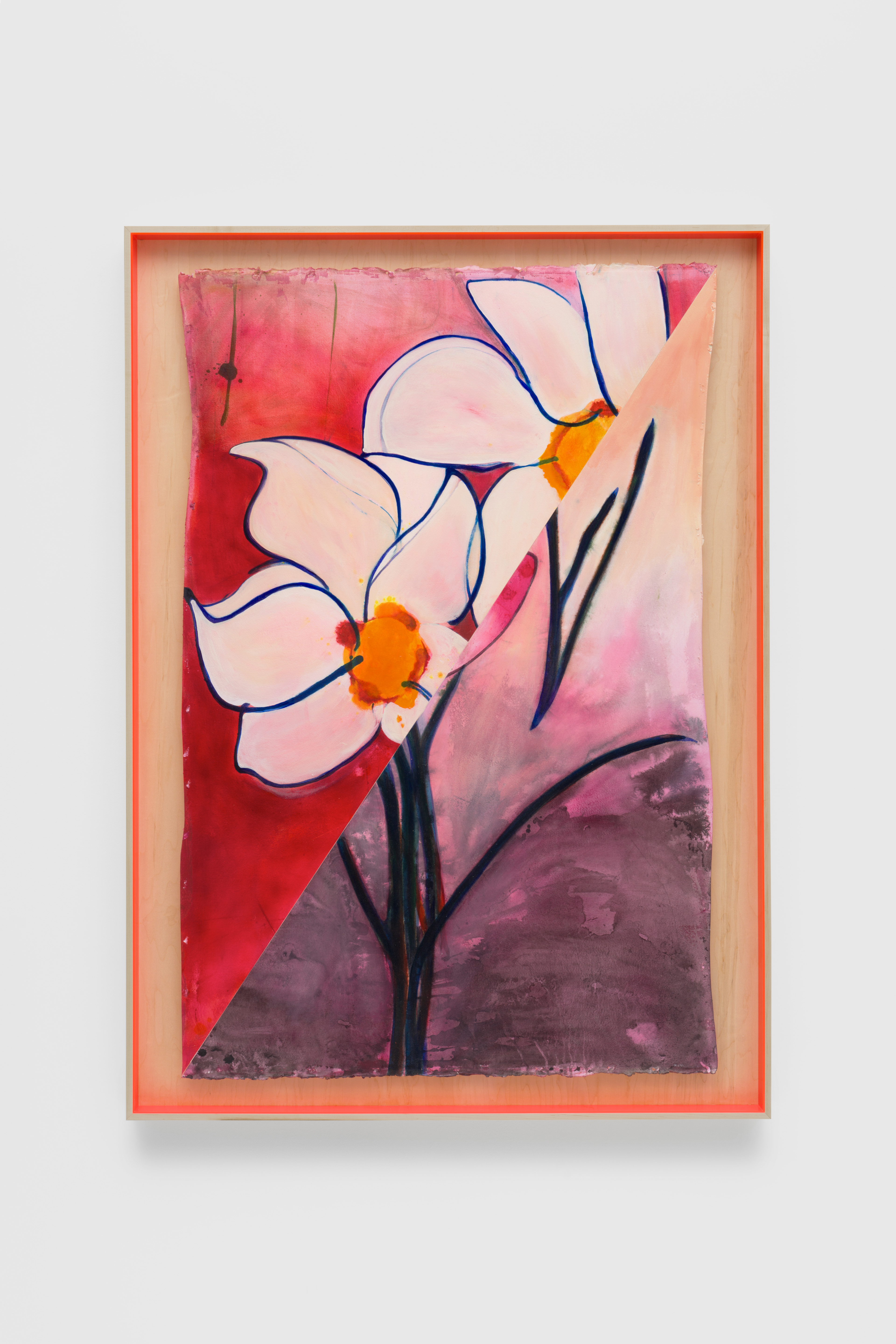Saffron Crocus, Eyes Wide Open and Sight Security
