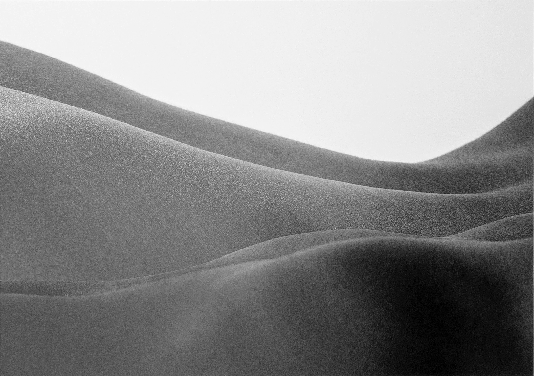 Nature II