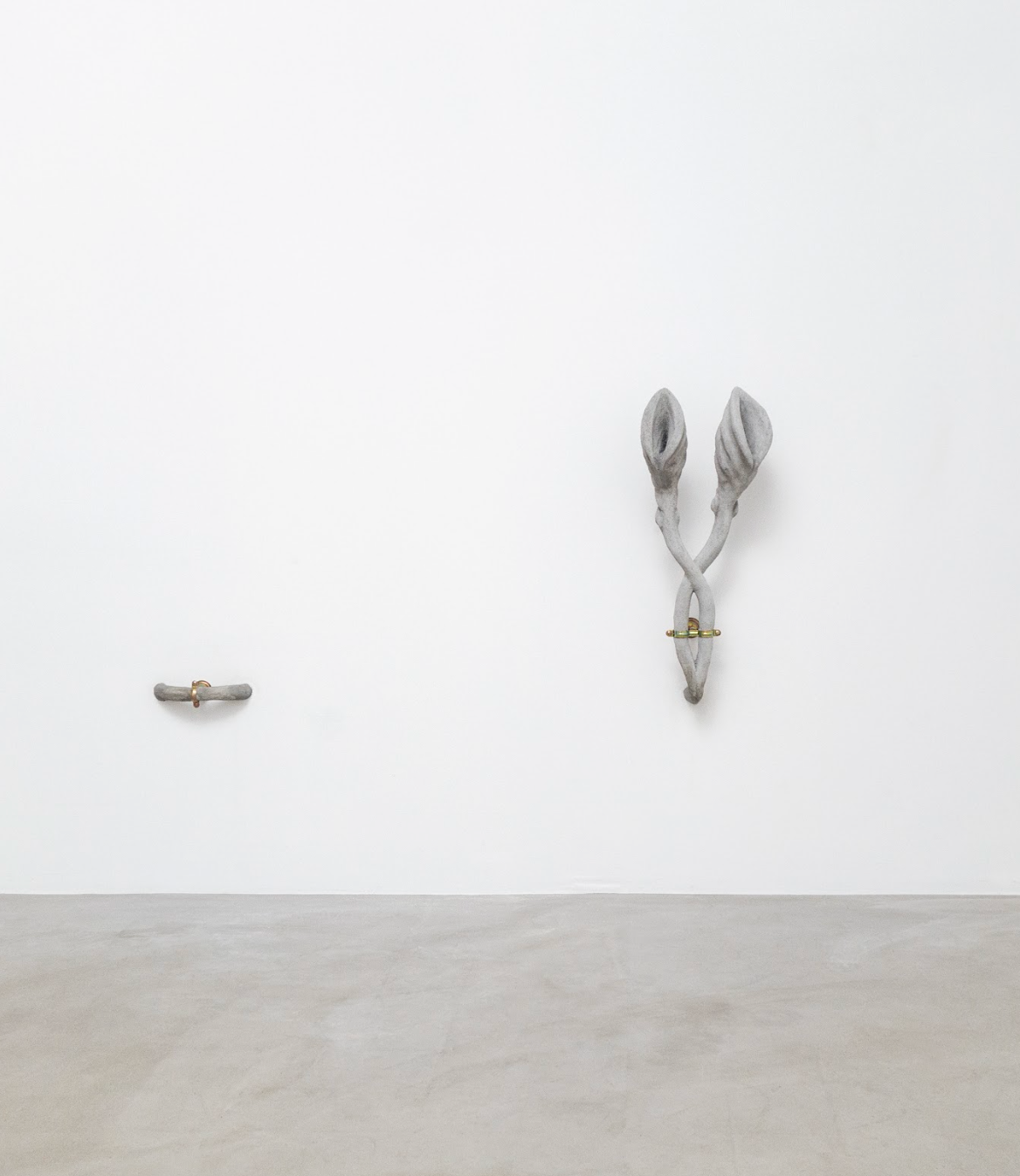 Nepenthes Kerivoula Double-Horn (Breathing Piping System Series)