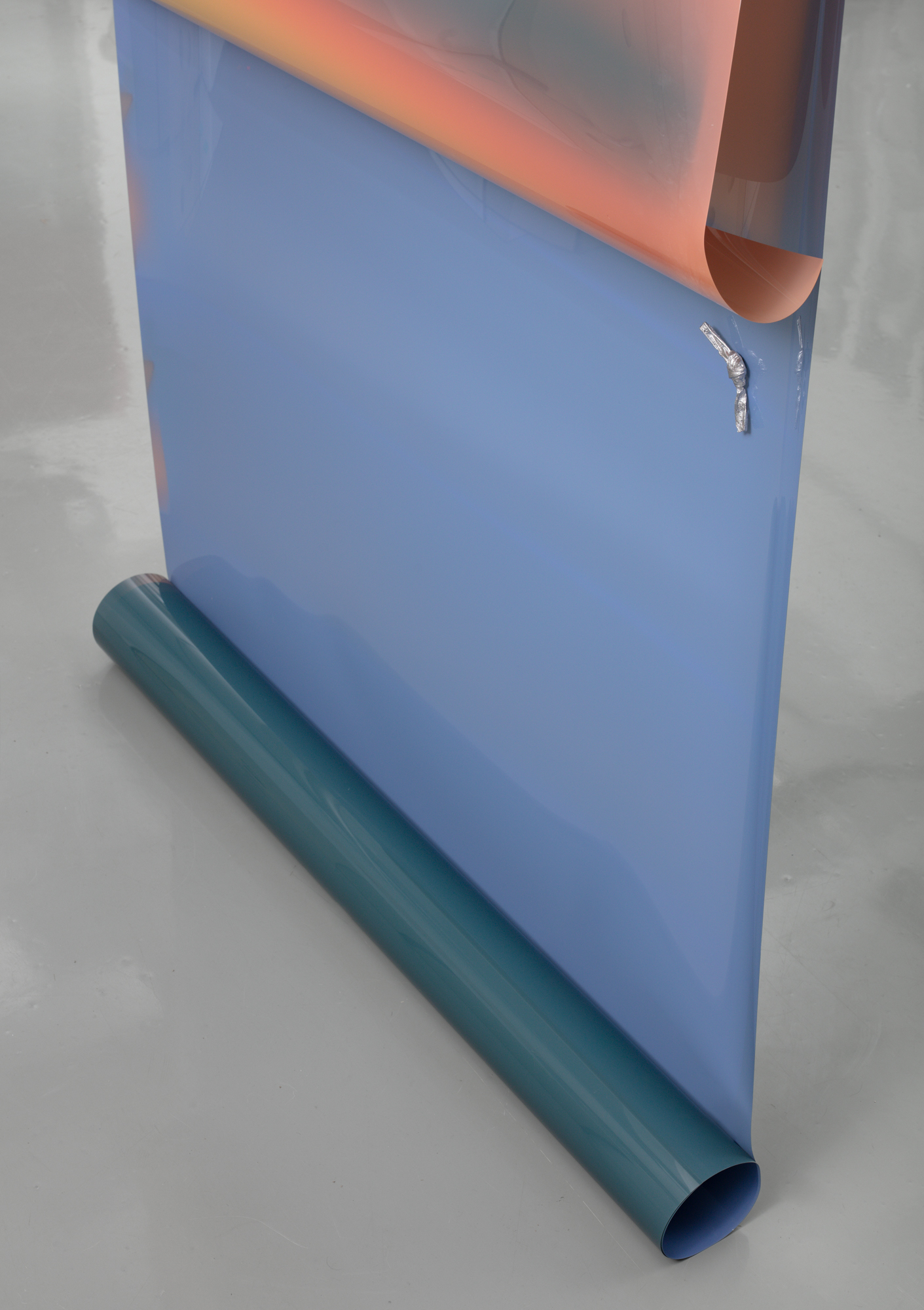 Molt (Woodridge-New York-Miami)