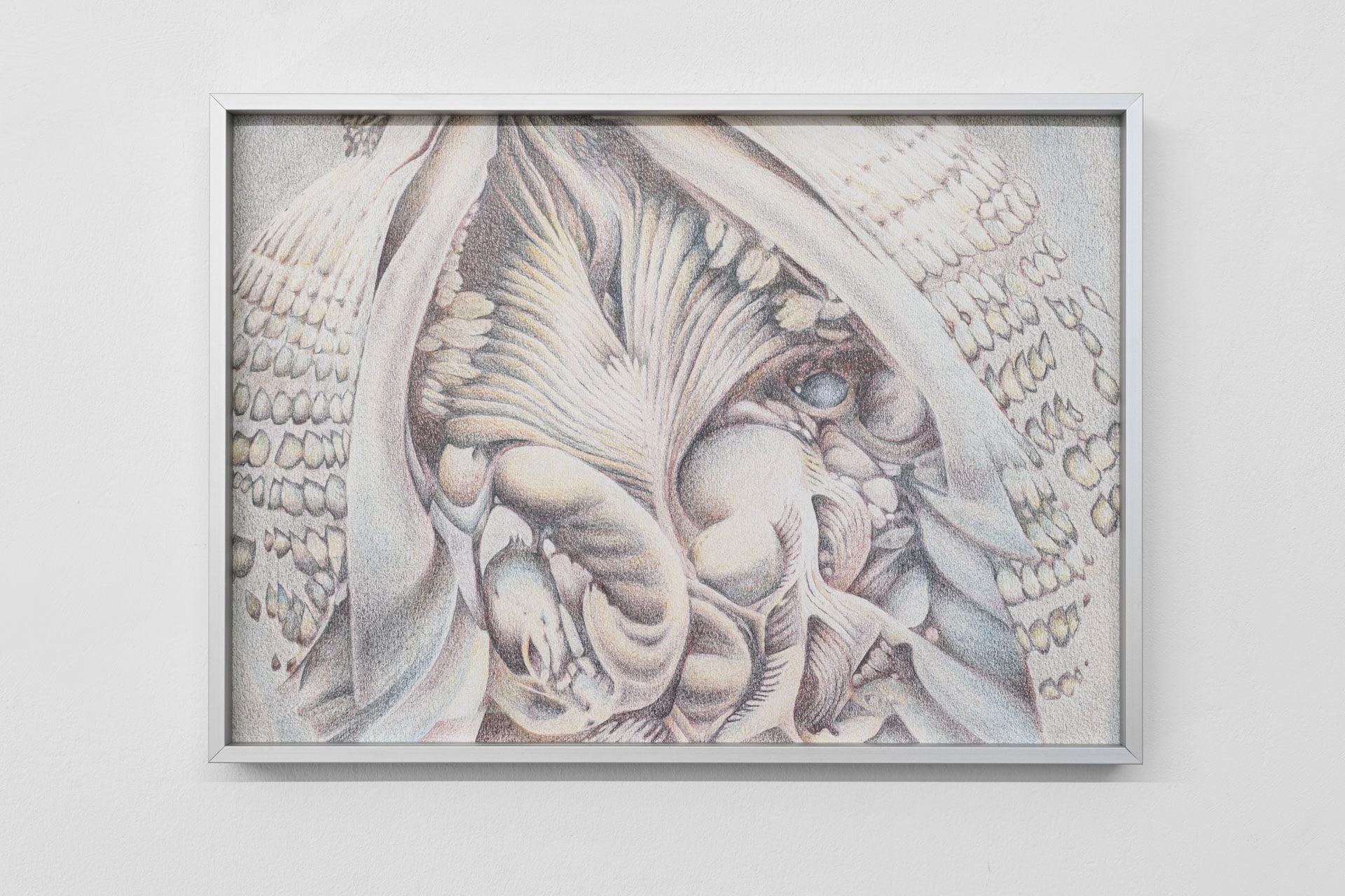 Transmutation of a seashell into a butterfly