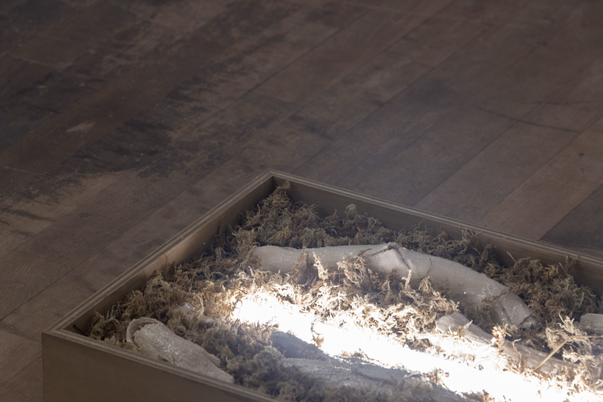 Time before time (Luce), series