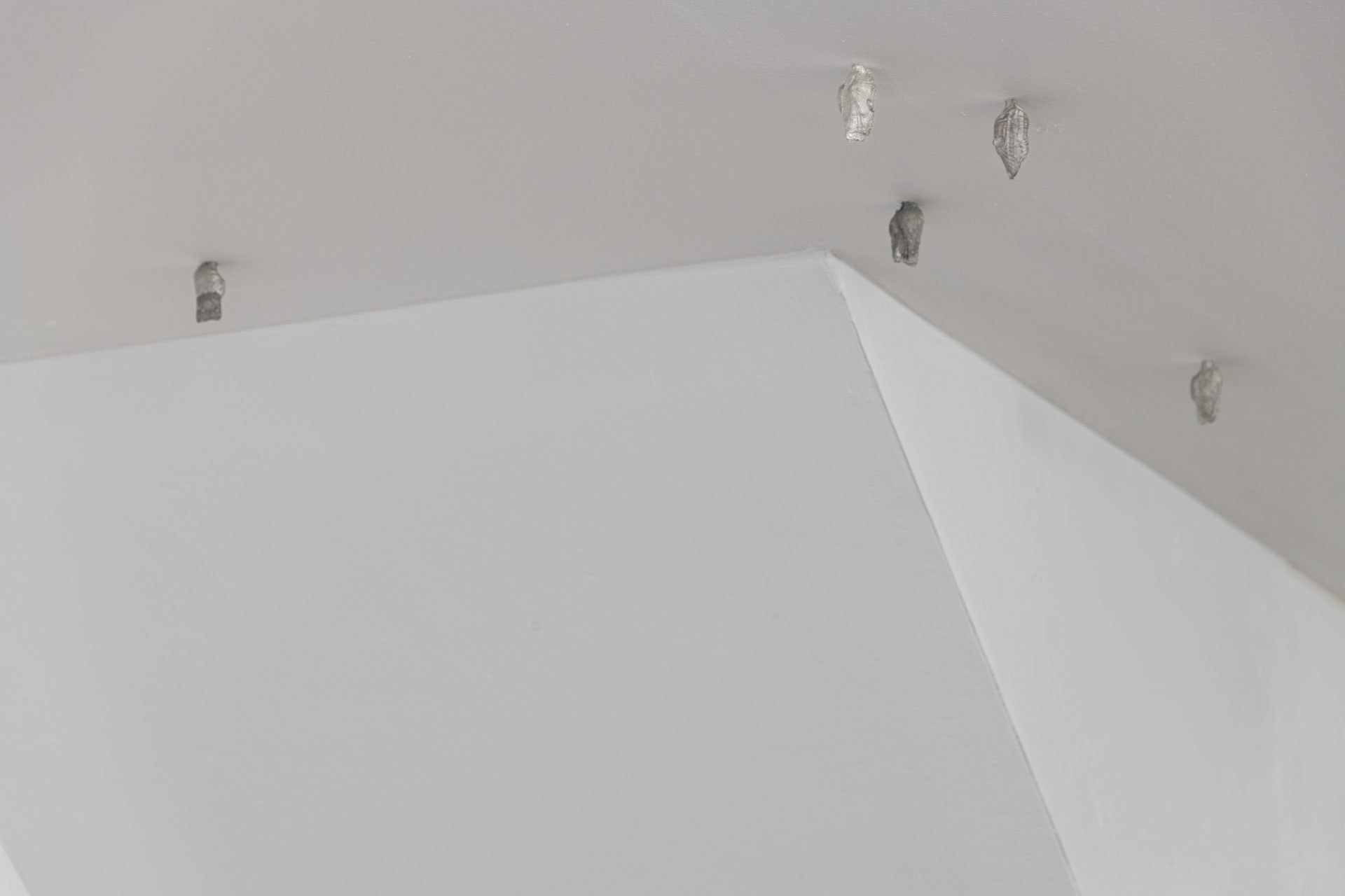 Time before time (Suolo), series