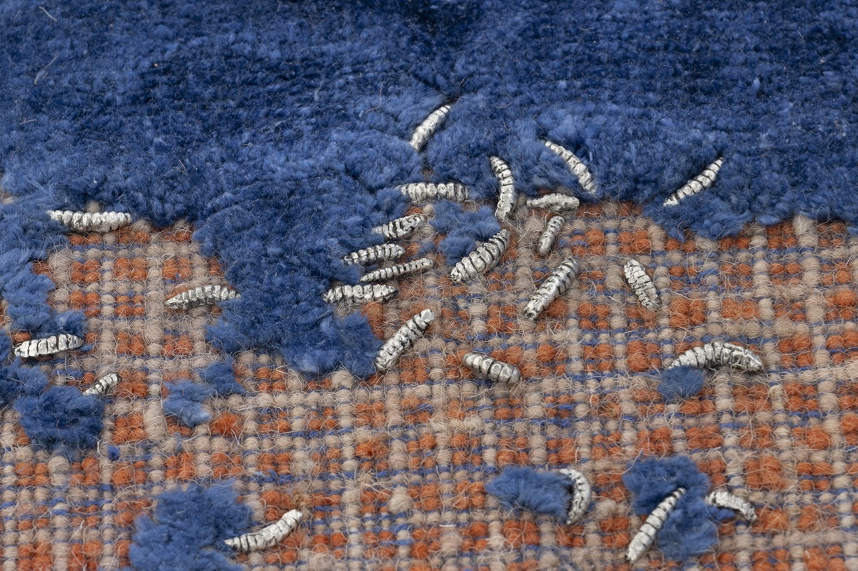 Blue Entropy (An Archipelago)