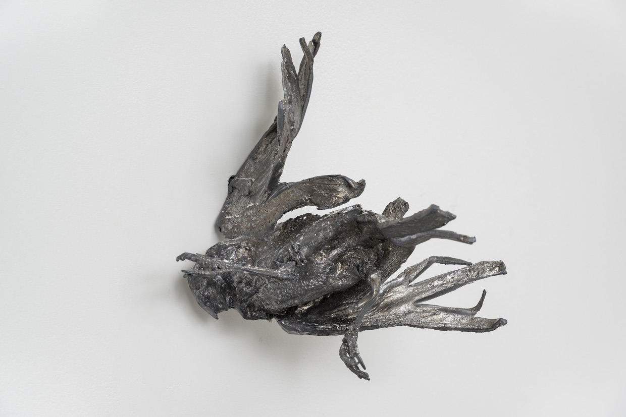 Migratory Birds (A Small Horror)