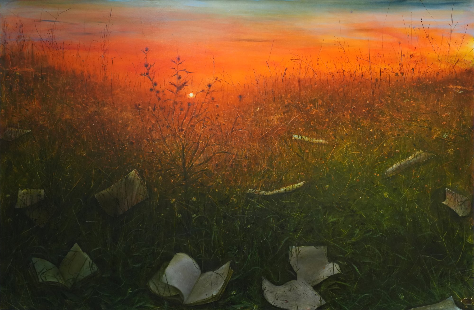 Sunset / Zachód słońca