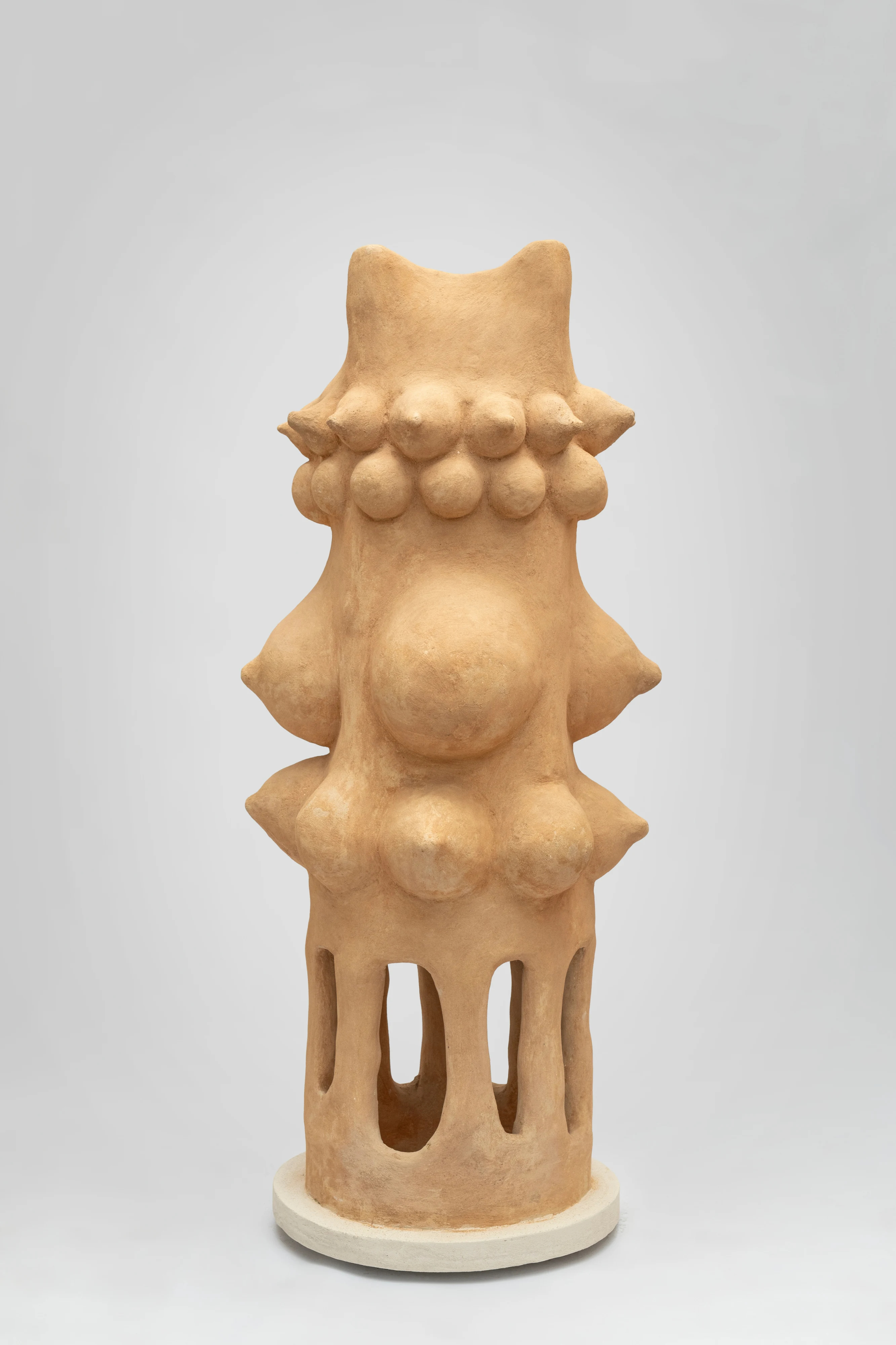 Je suis un caïlcédrat, from the series Sisters and I