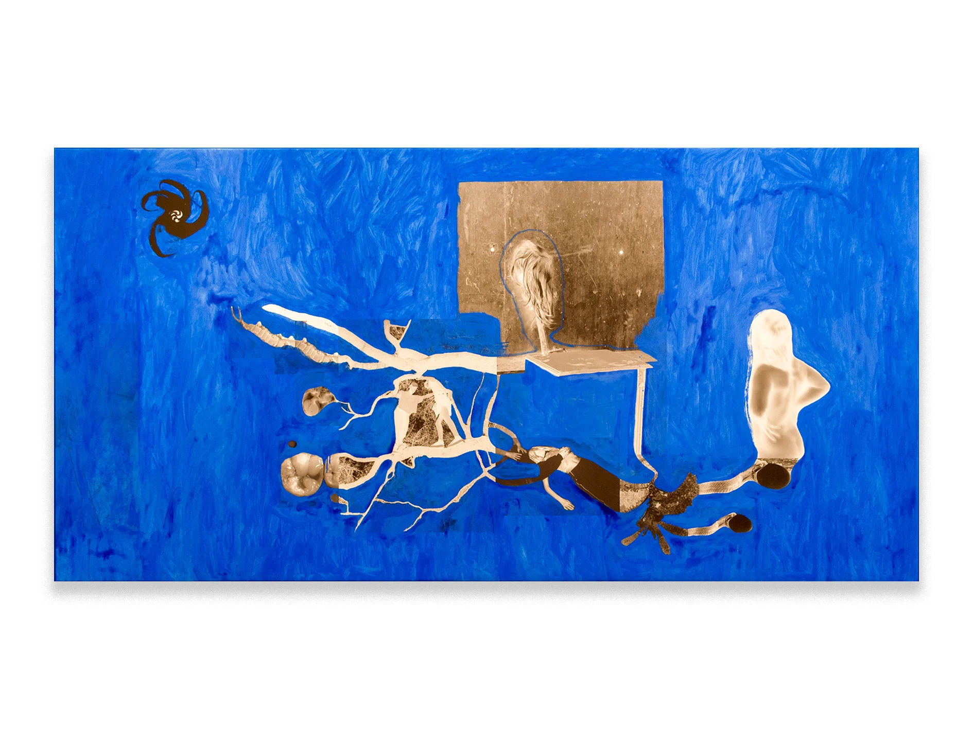 Review (A Body of Light)