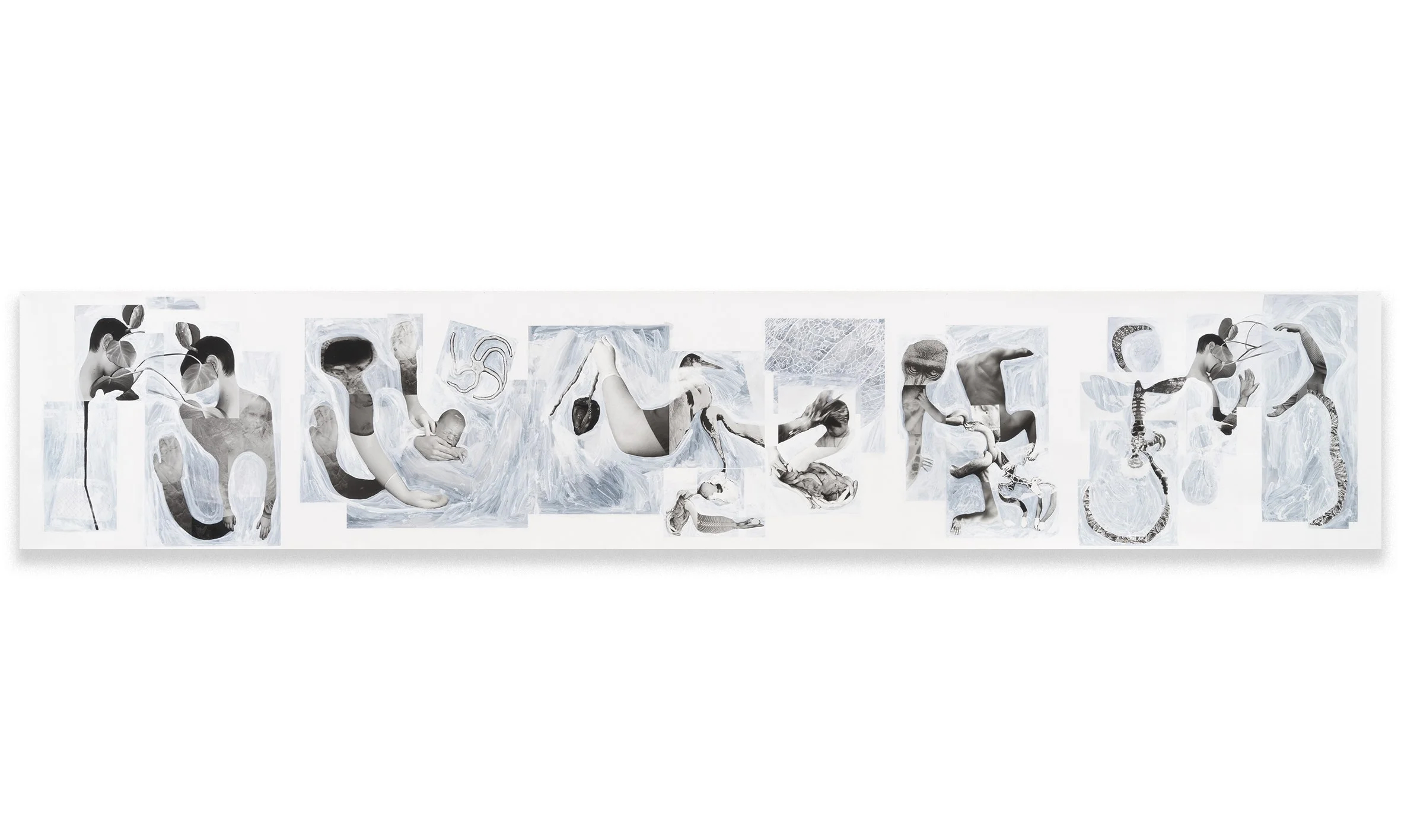 Translucent shield (calling)