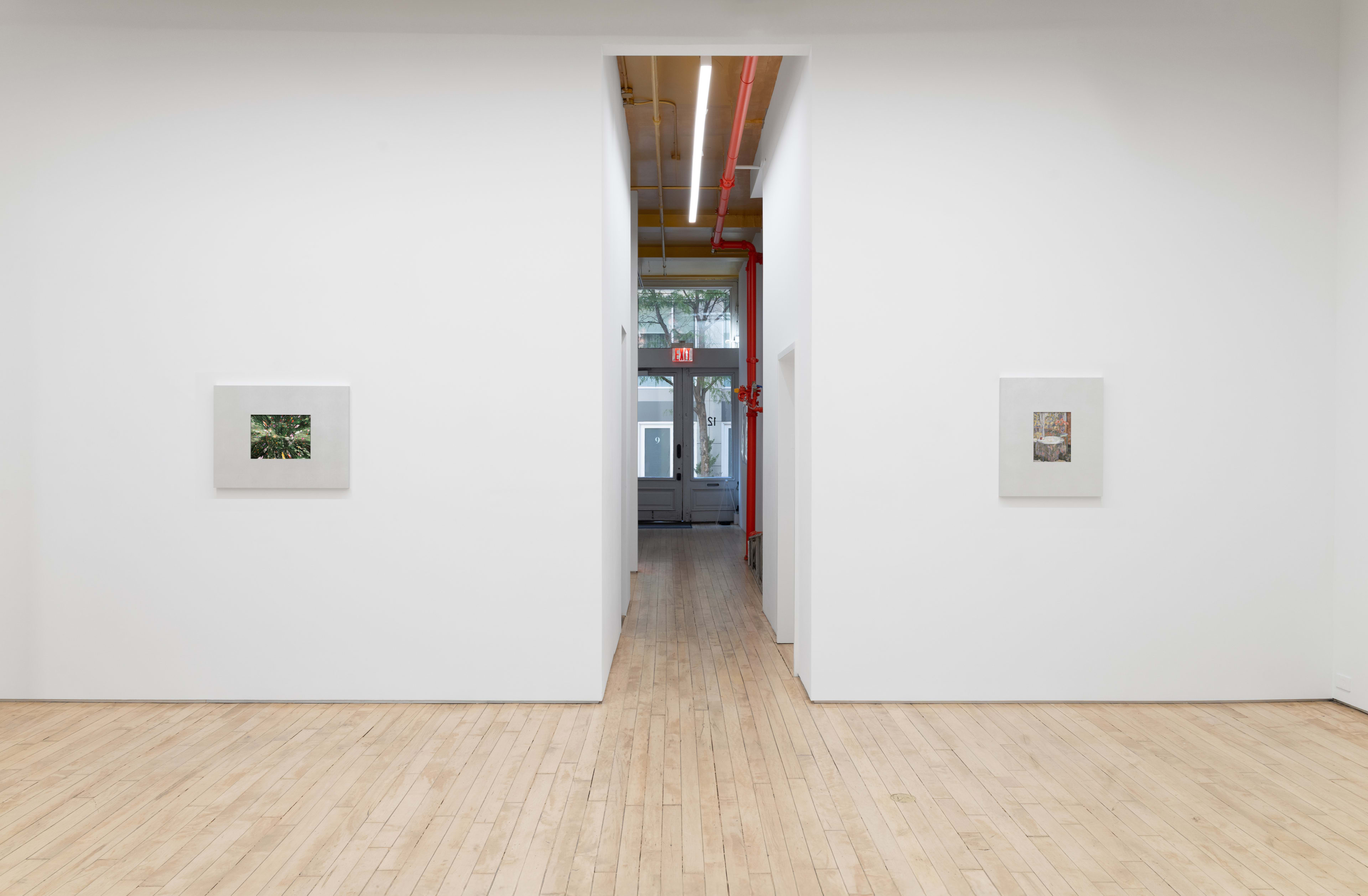 YveYang Gallery