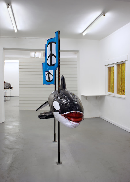 Orca
