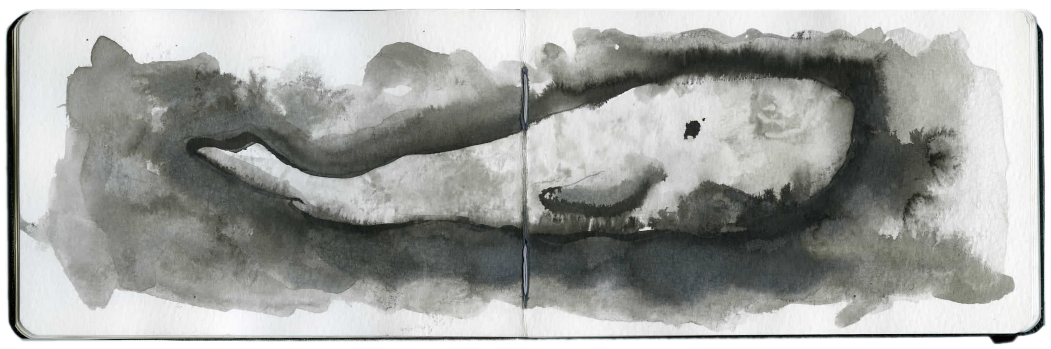 La Baleine Nuage #1