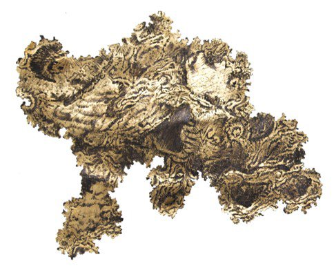 Fiebre de Chocó (Atrato) II