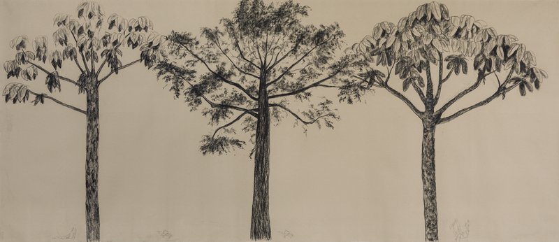 Bosque No. 2