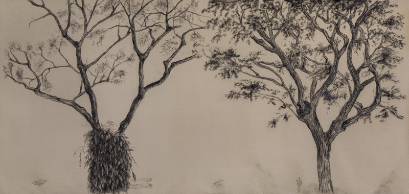 Bosque No. 4