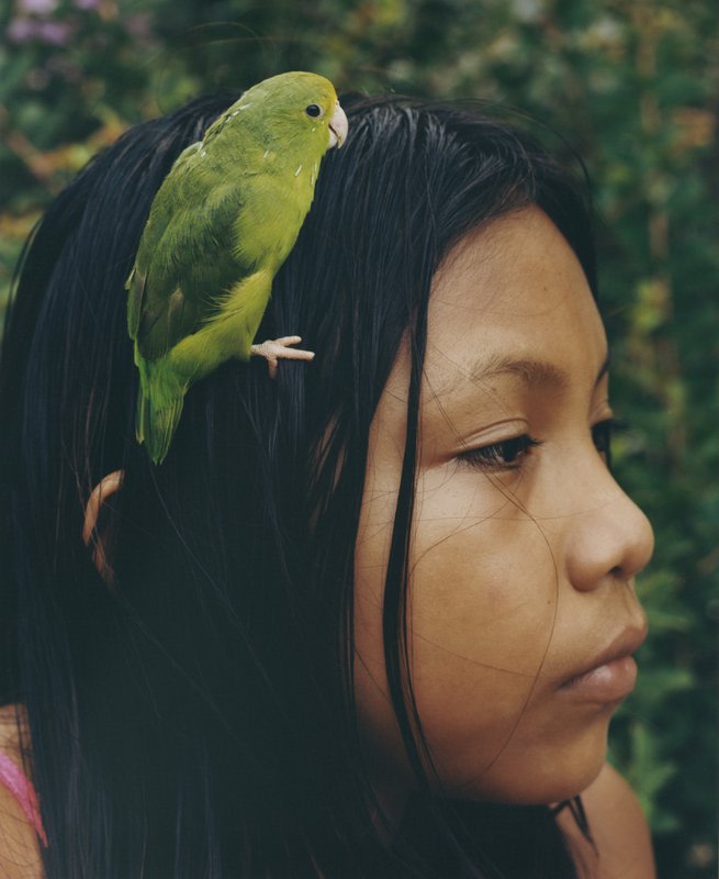 Two or tree birds invent a garden