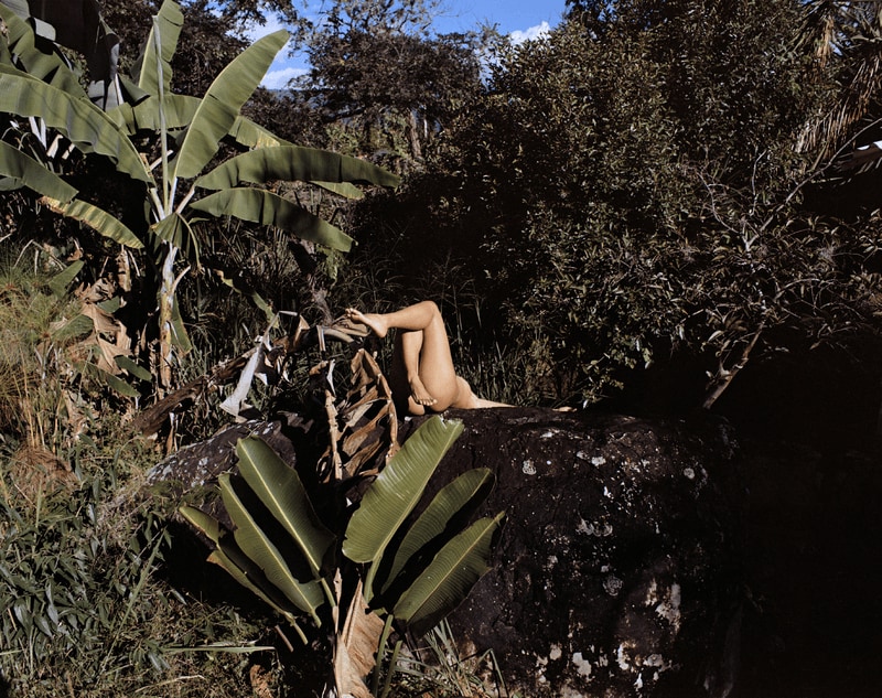 Álbum erótico I: Bananeras 1