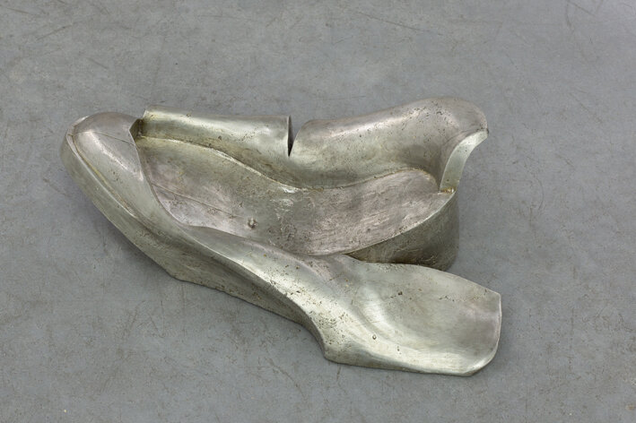 Ex scarpa