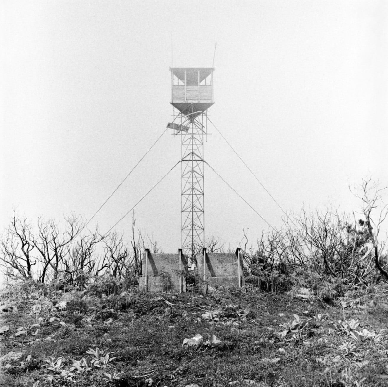 L'Homme, île de la réunion