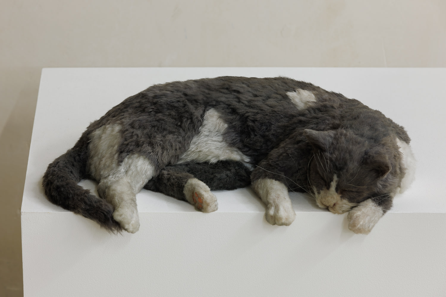 The thermals made me lazy, or The squatters (Smoky meet Monk’s Deflated Sculpture II (2009))