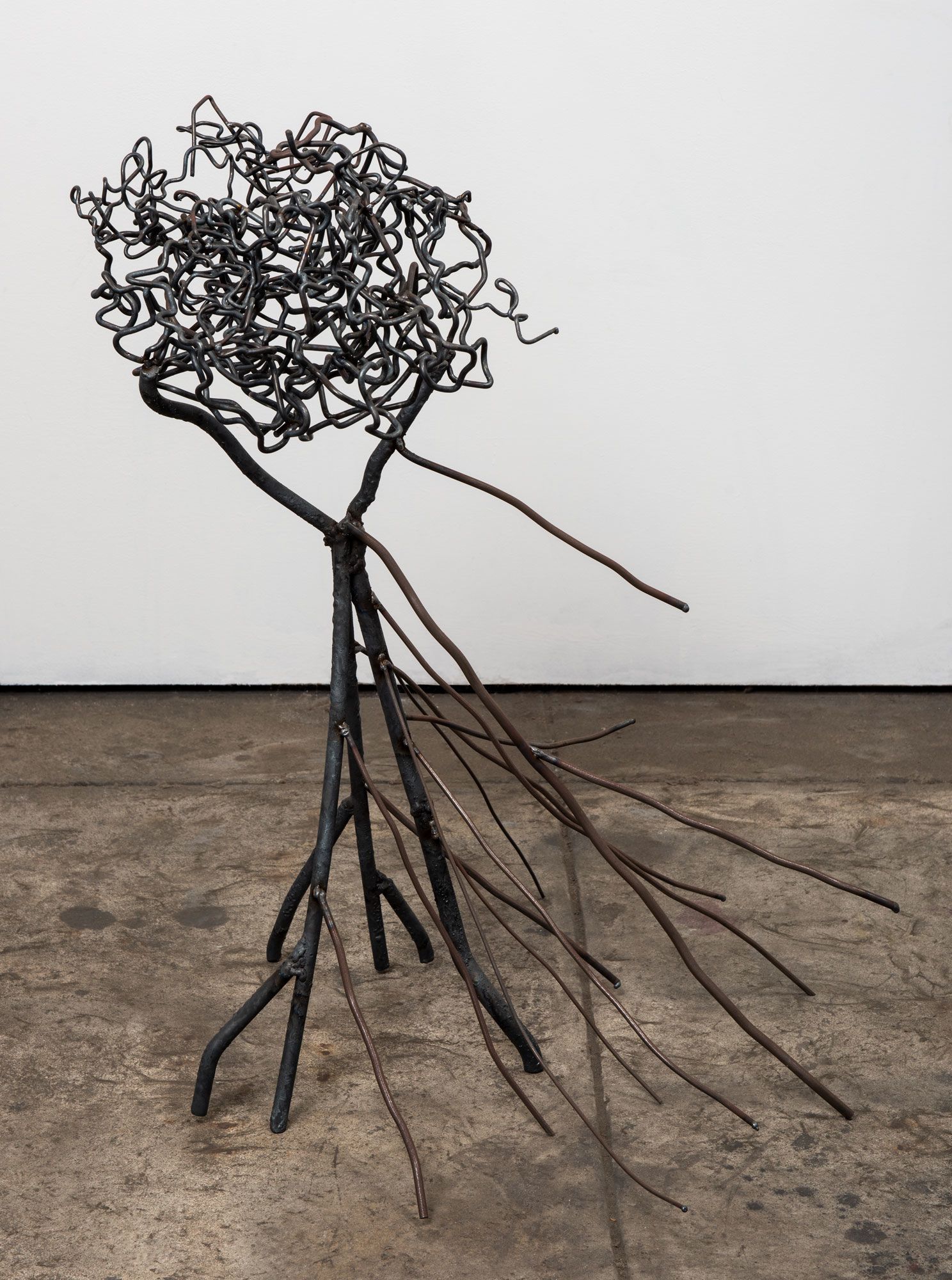 Roots 1