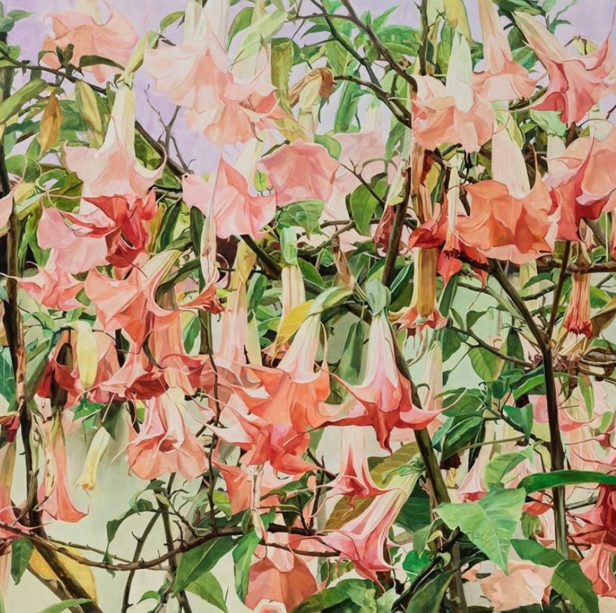 Datura