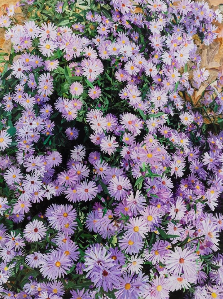Purple Daisy