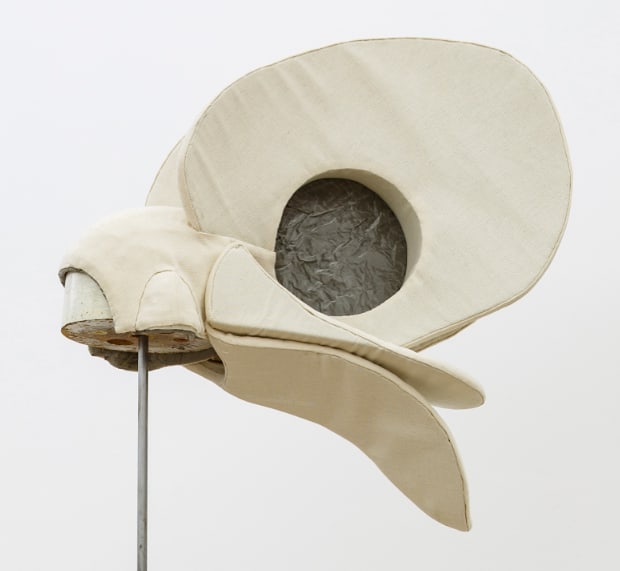 White Bird's Hat