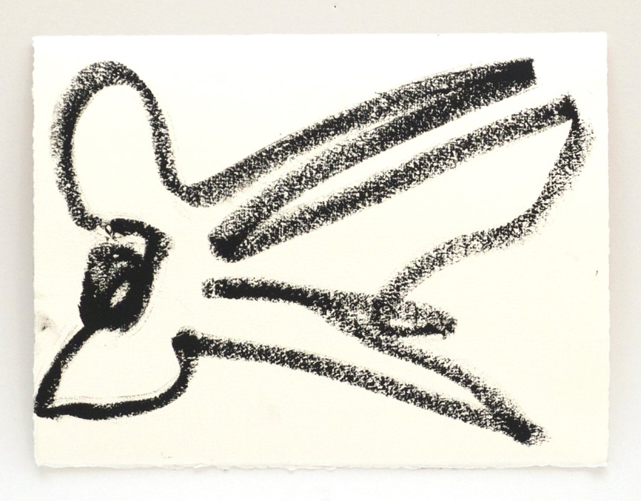 Reanimation performance drawing (Bird Drawing)