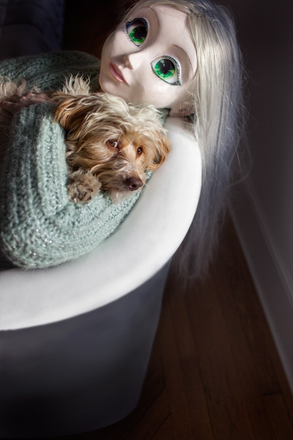 Blonde/Acqua Sweater/Dog
