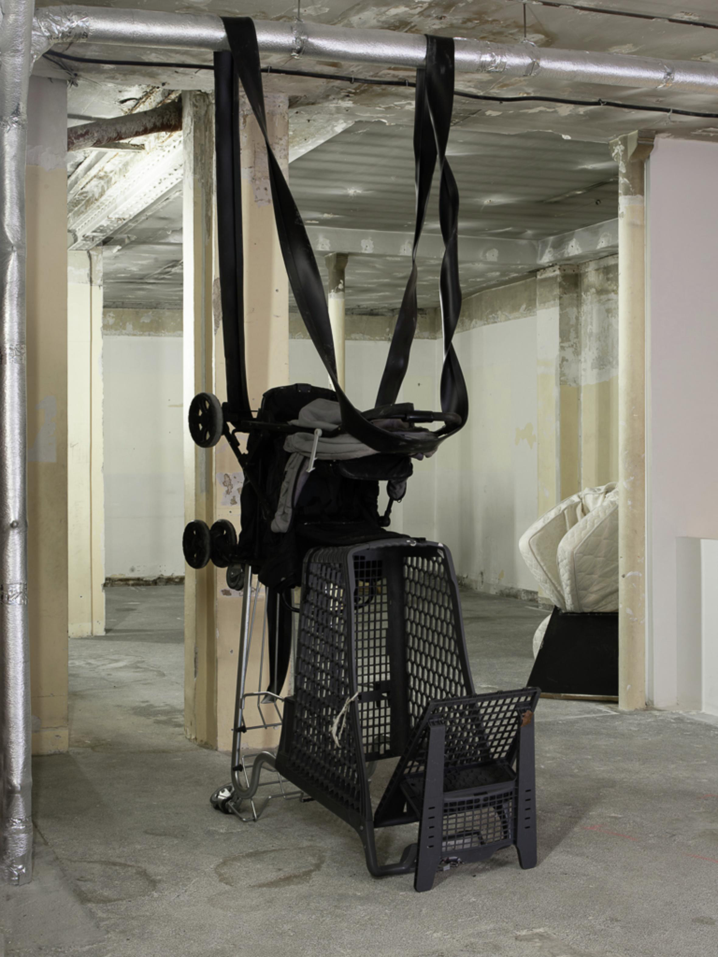 revolutions insect of things