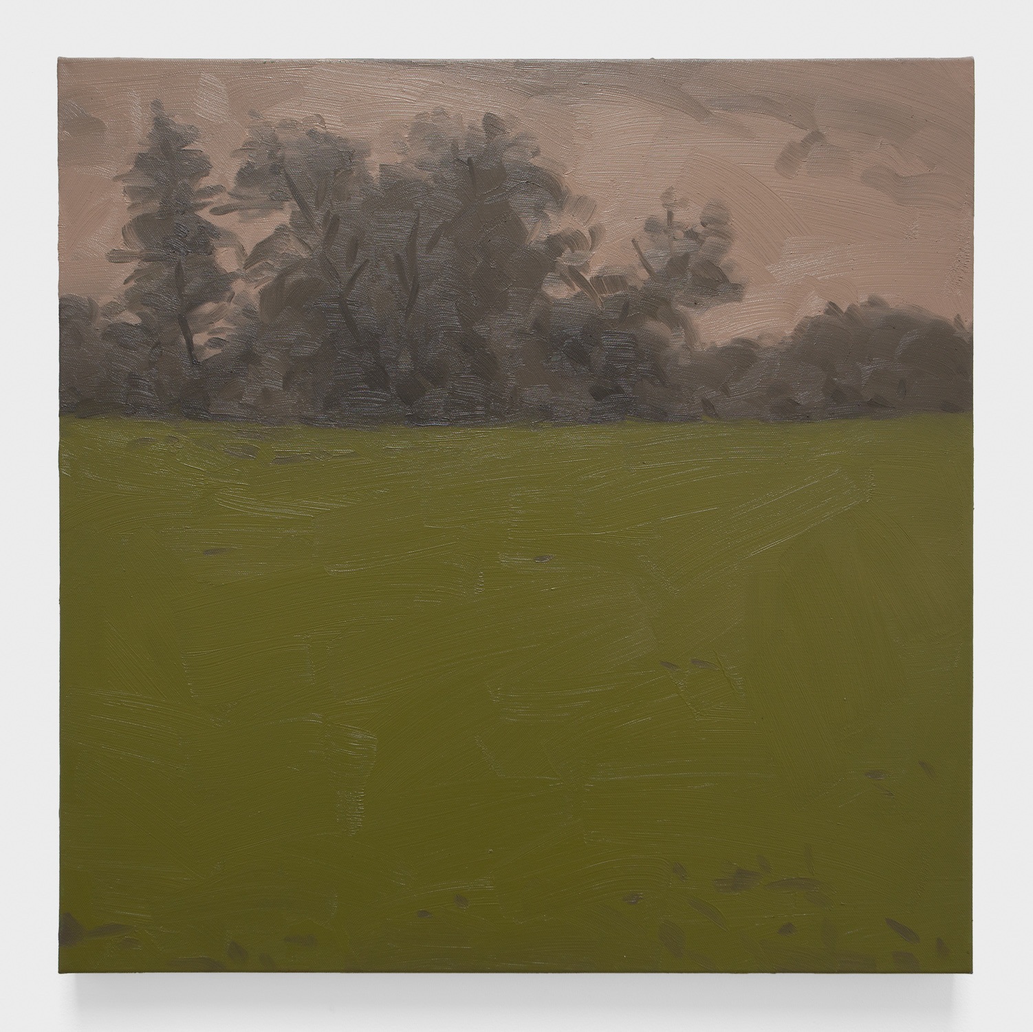 Green Field with Pink Sky