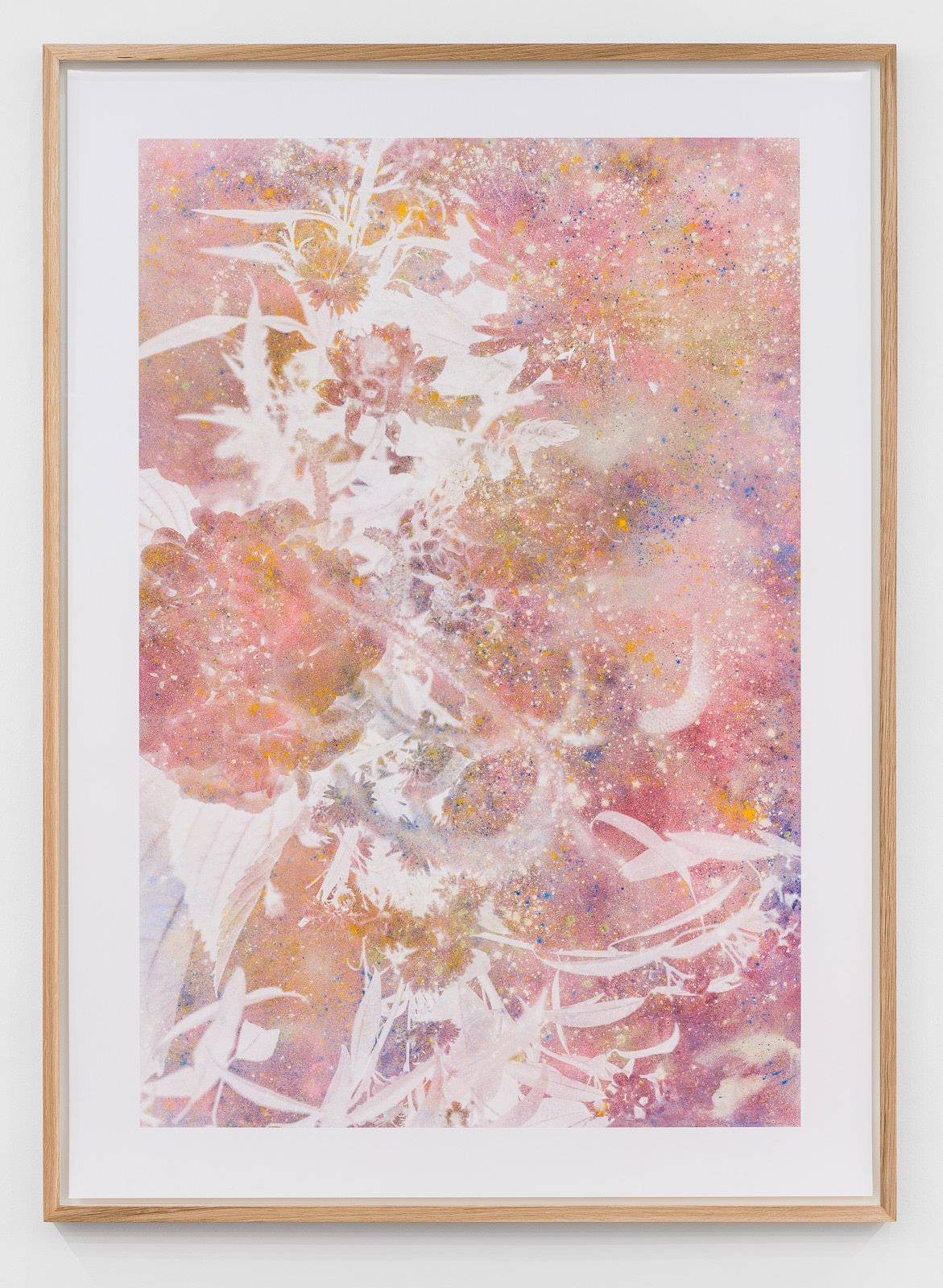 Flowers (2)