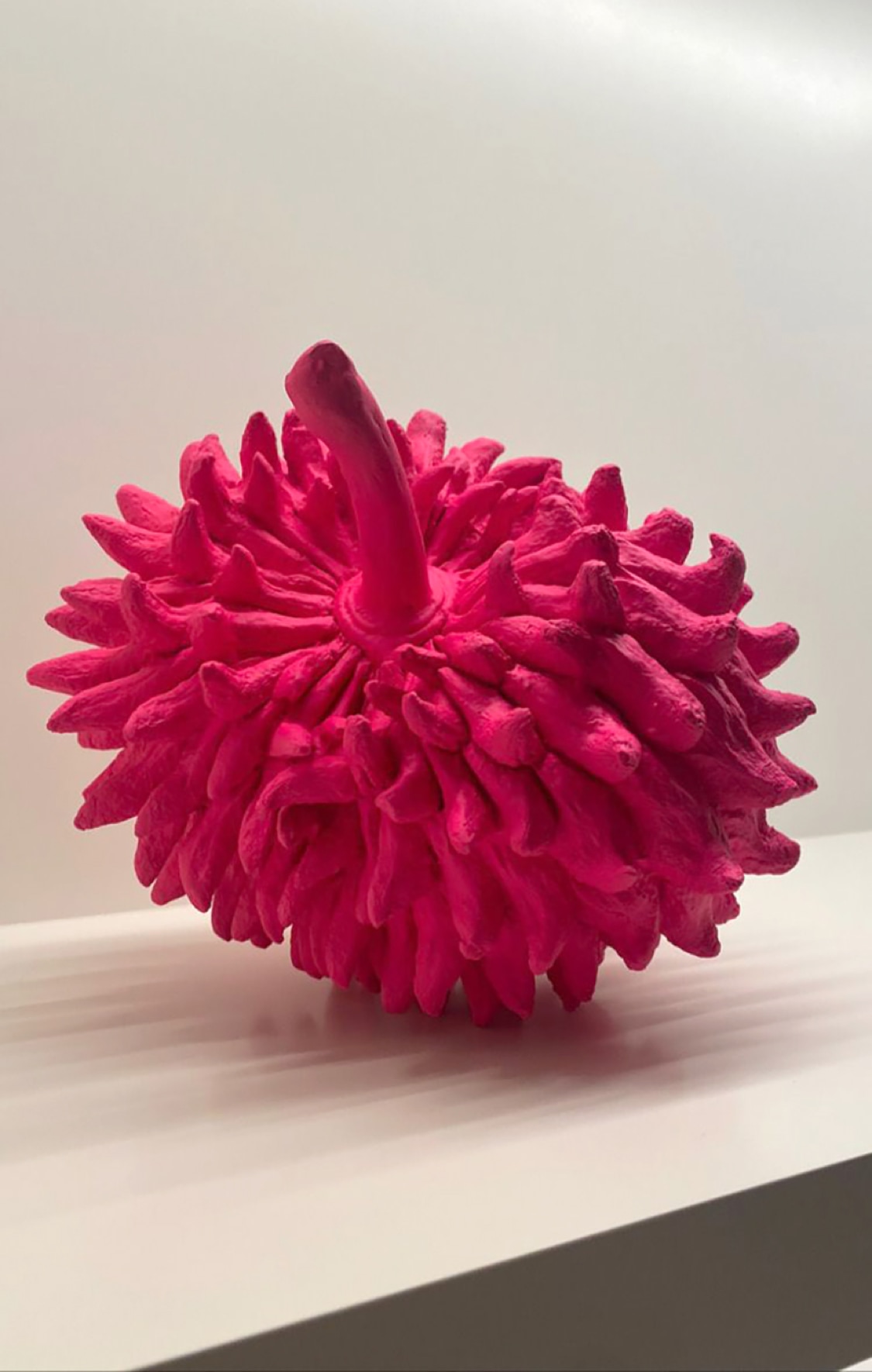 Silvana Pestana Untitled