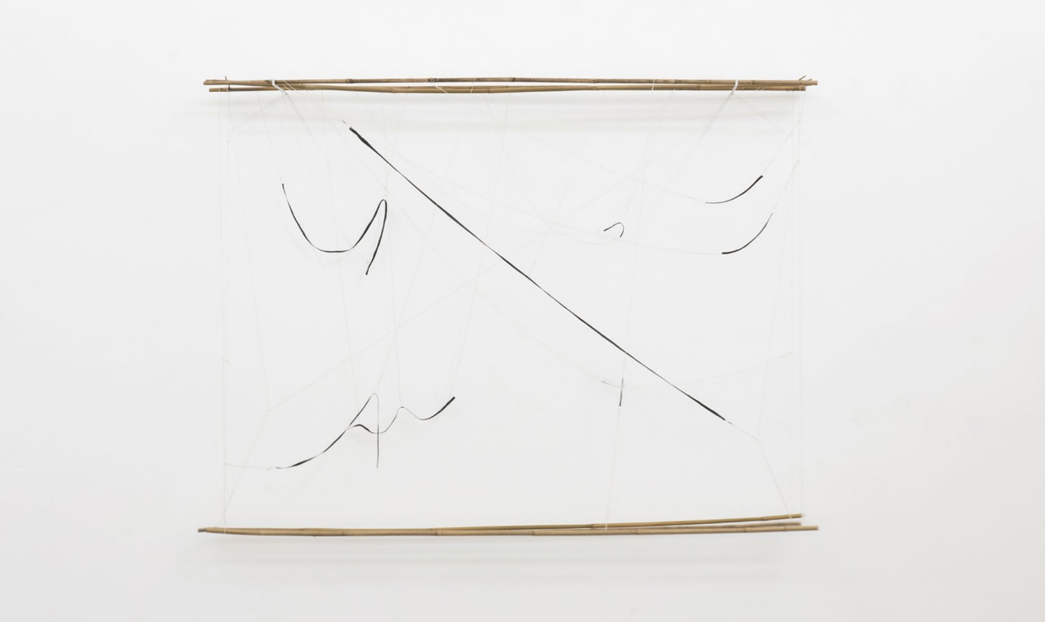 Hanging Drawings XXII, XXIII, XXIV (extracts from installation at Maitland Institute)