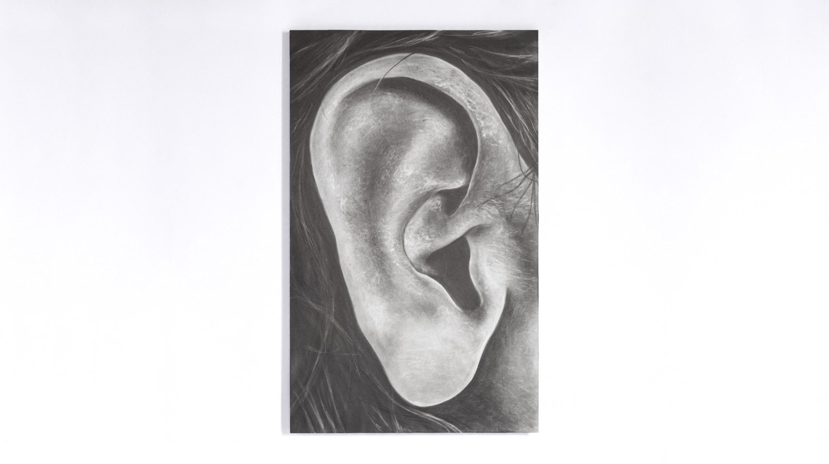 Untitled (right ear)