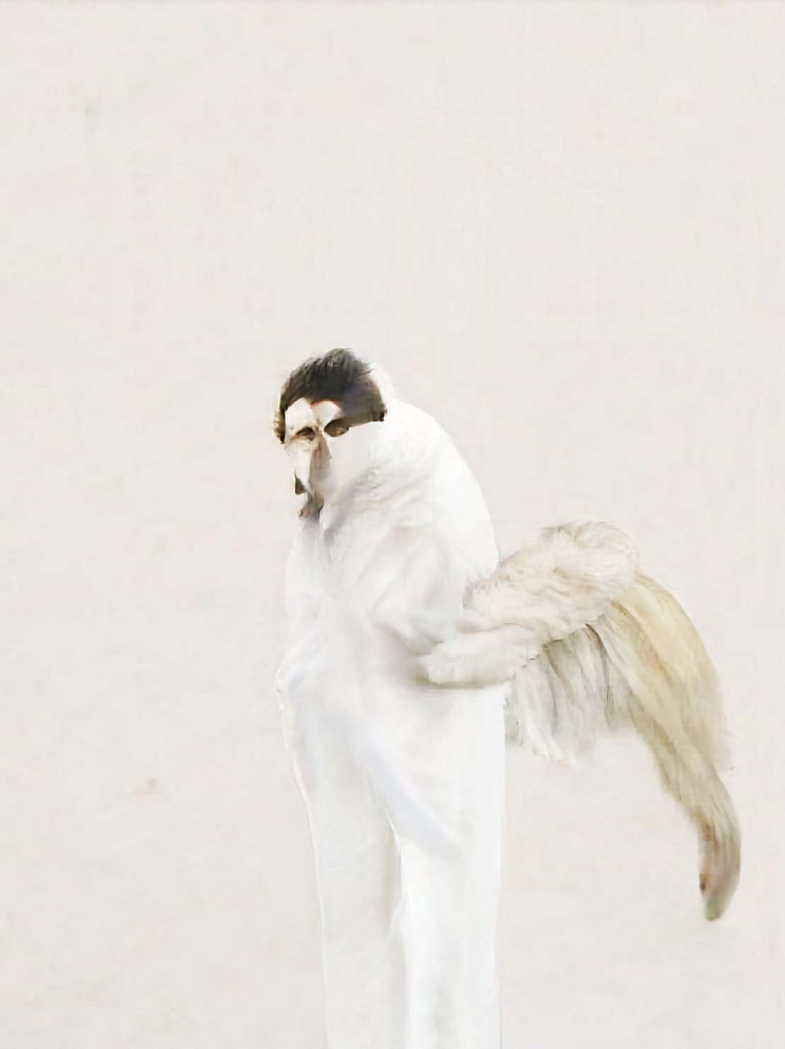 Owlish Visibility (In Pale Clothing)
