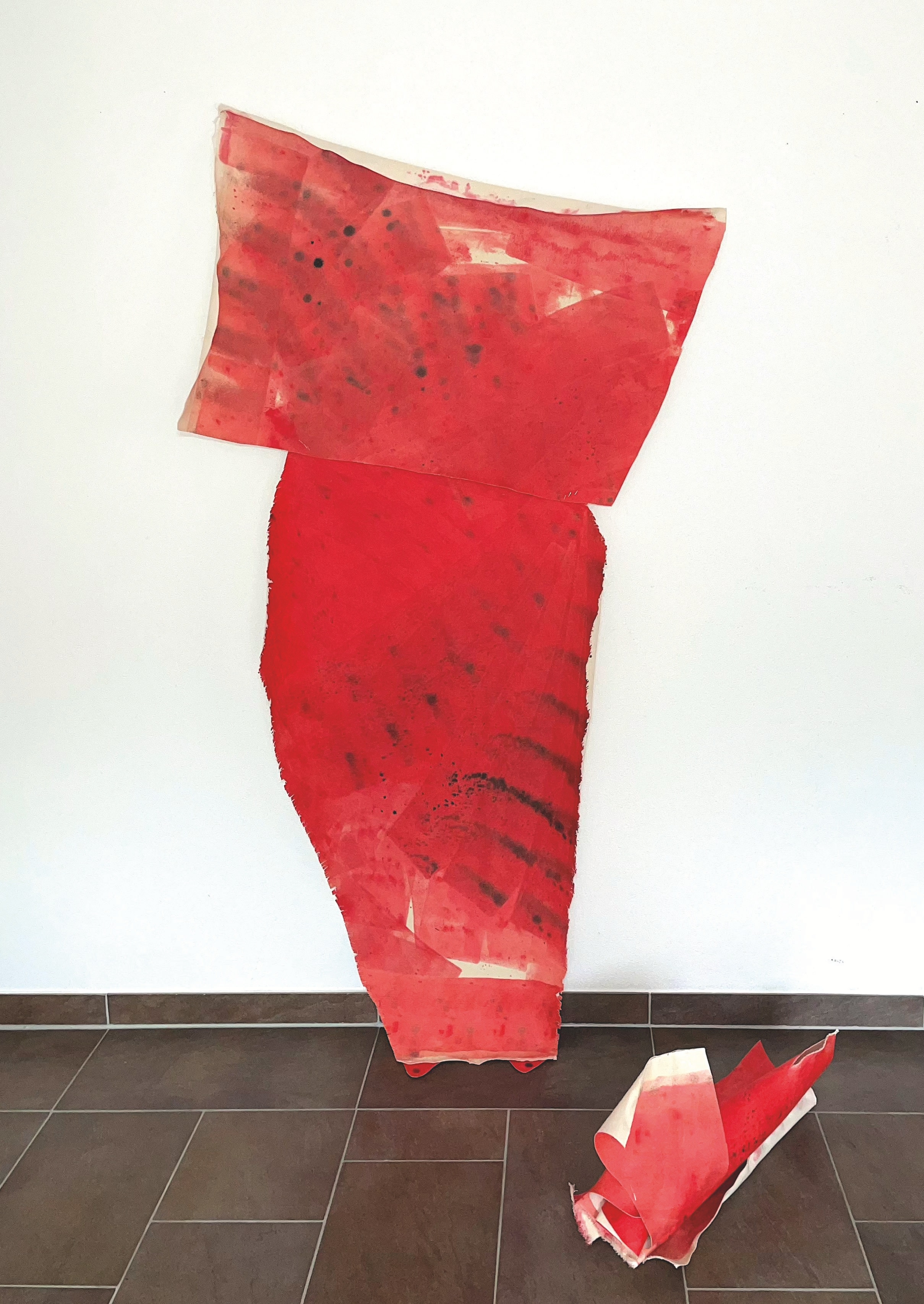 The lady in red with dog