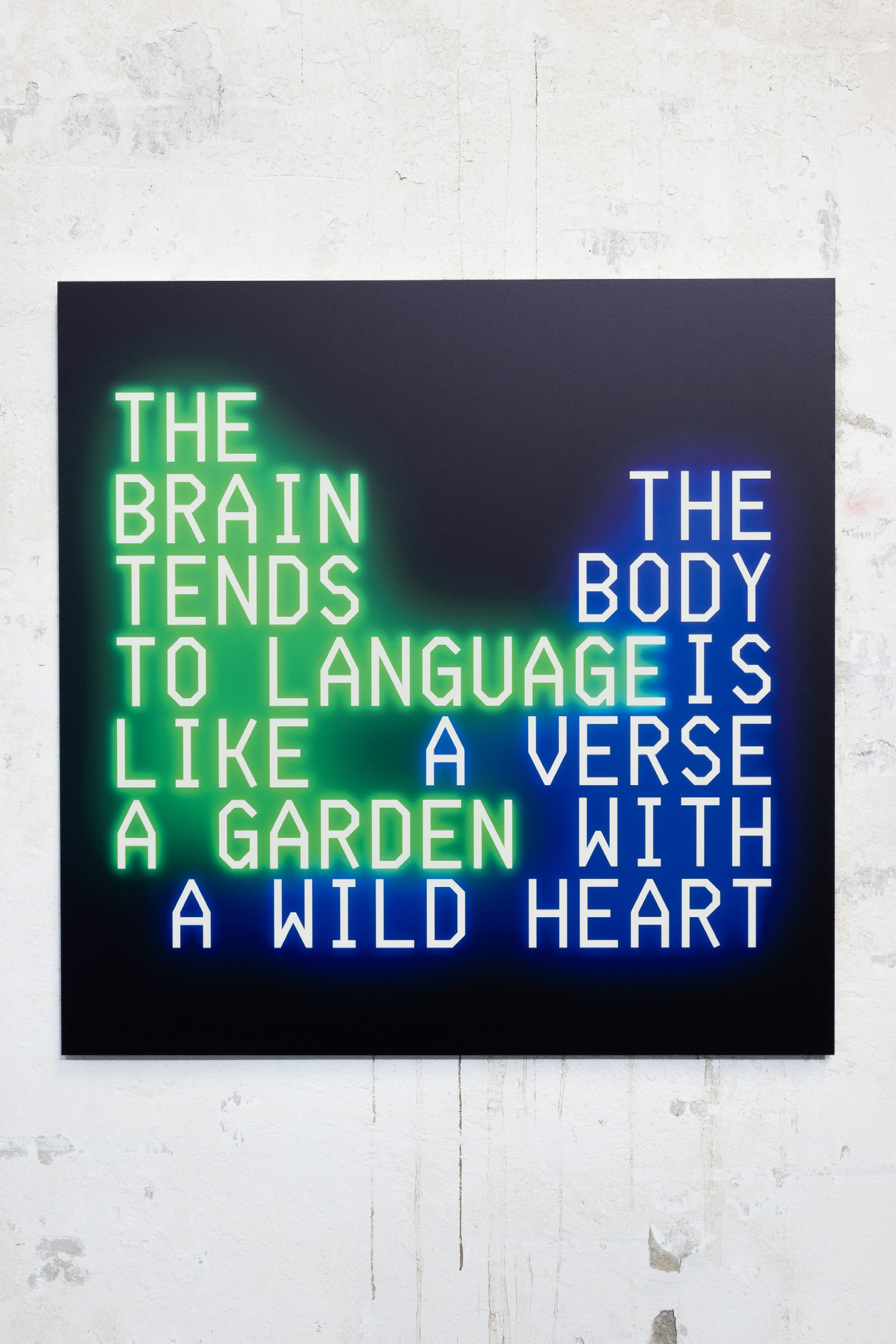 CORPOREAL APHORISMS No.2