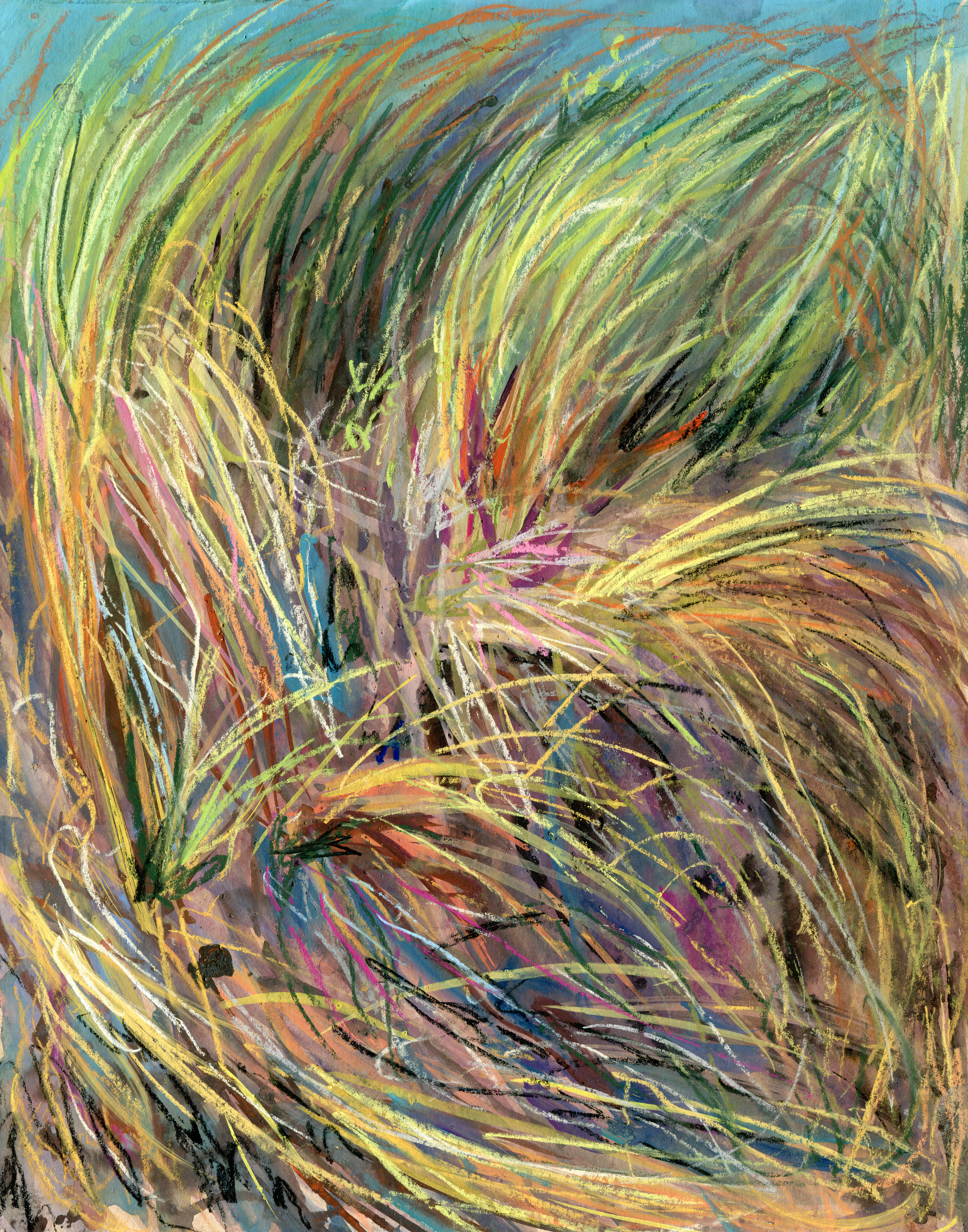 Marram