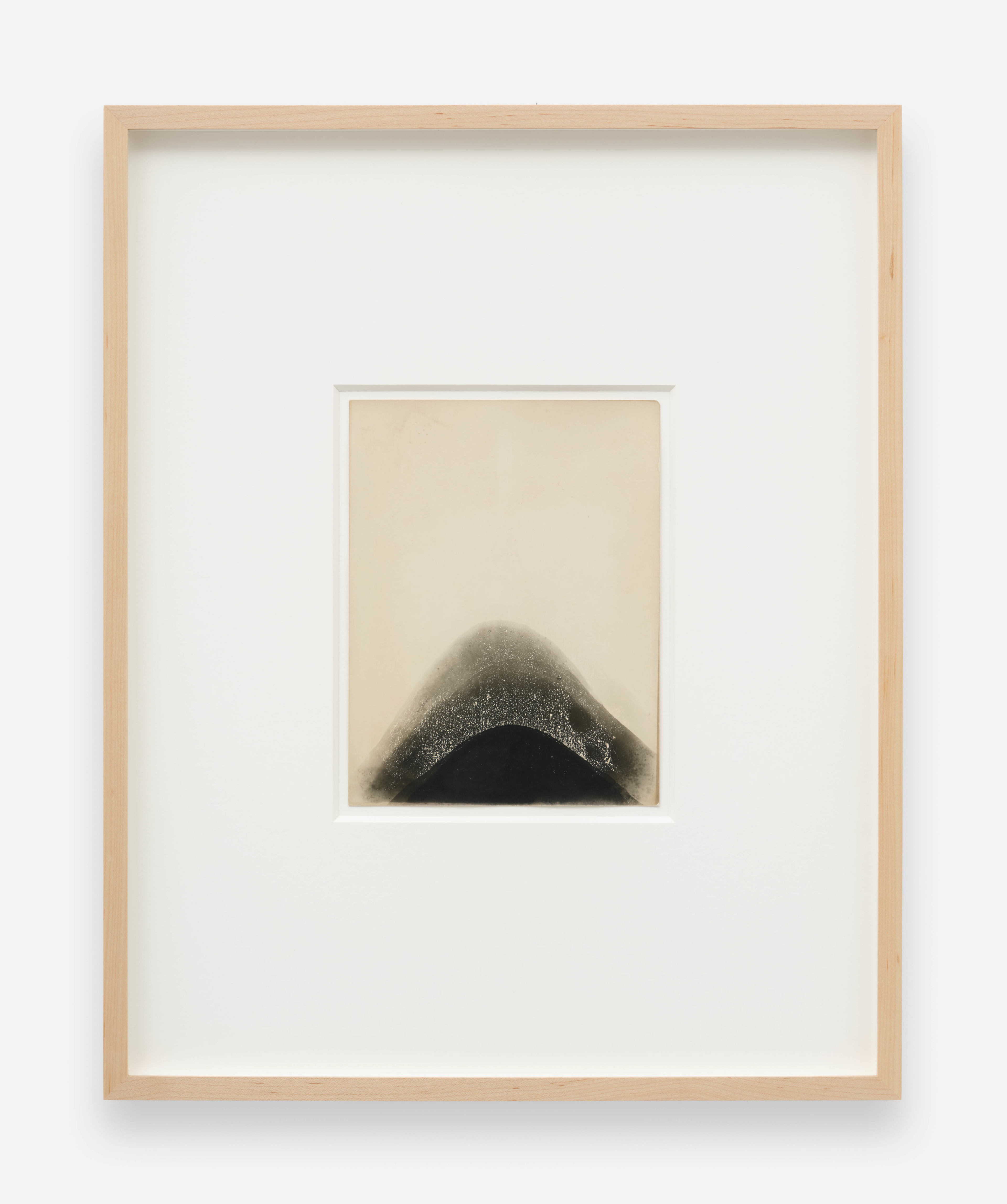 Untitled (Iris #2)