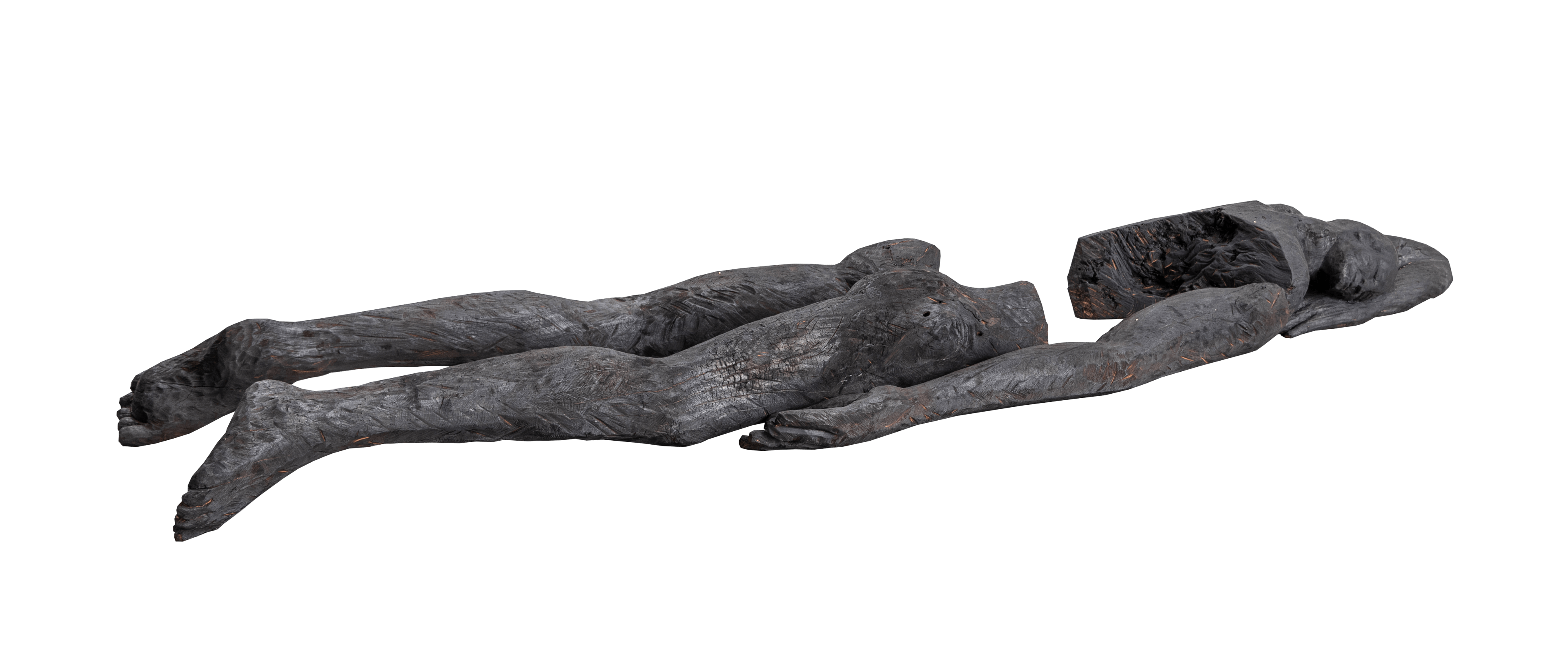 Le sommeil de l'arbre