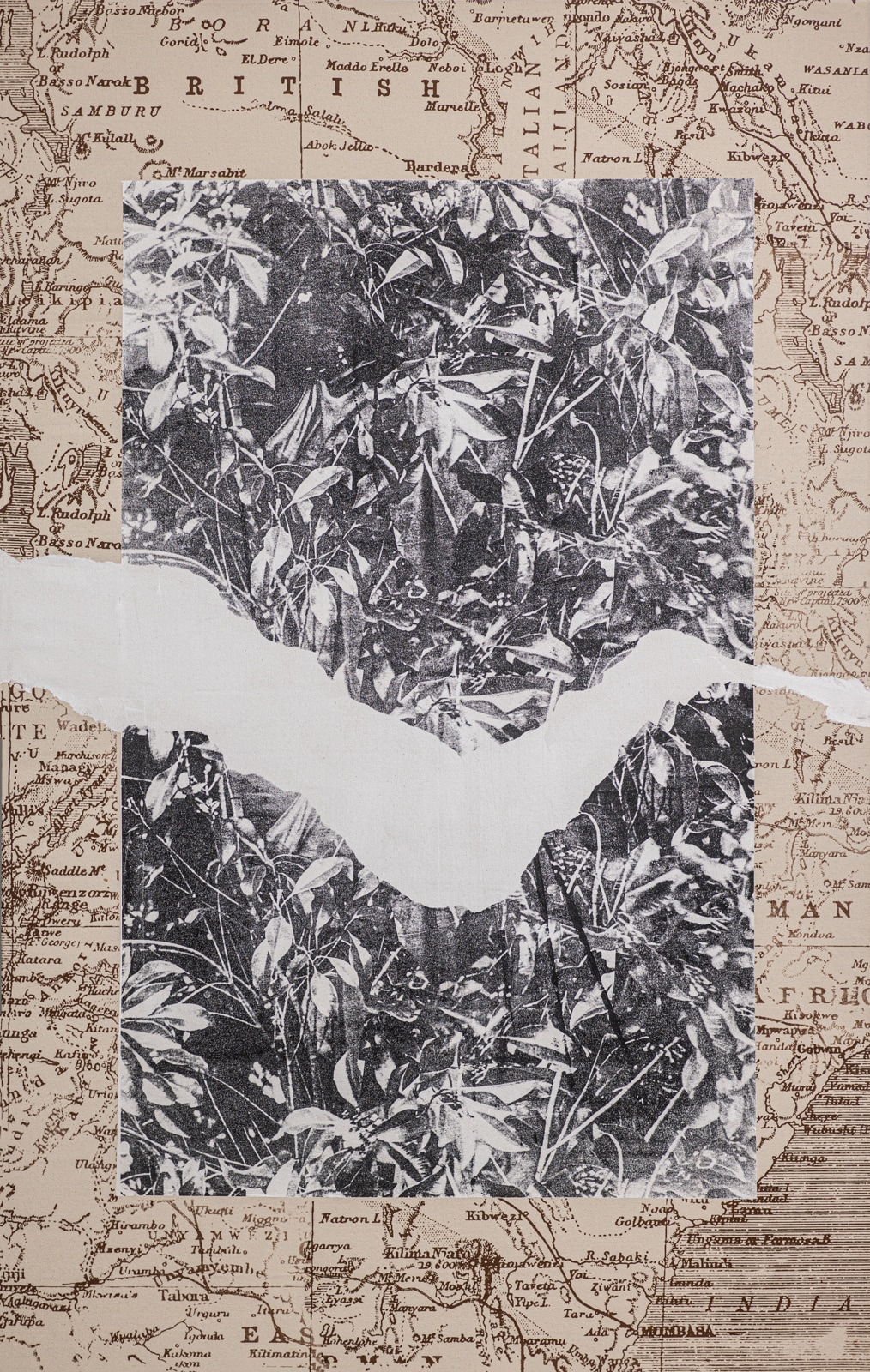 Place, Belonging II