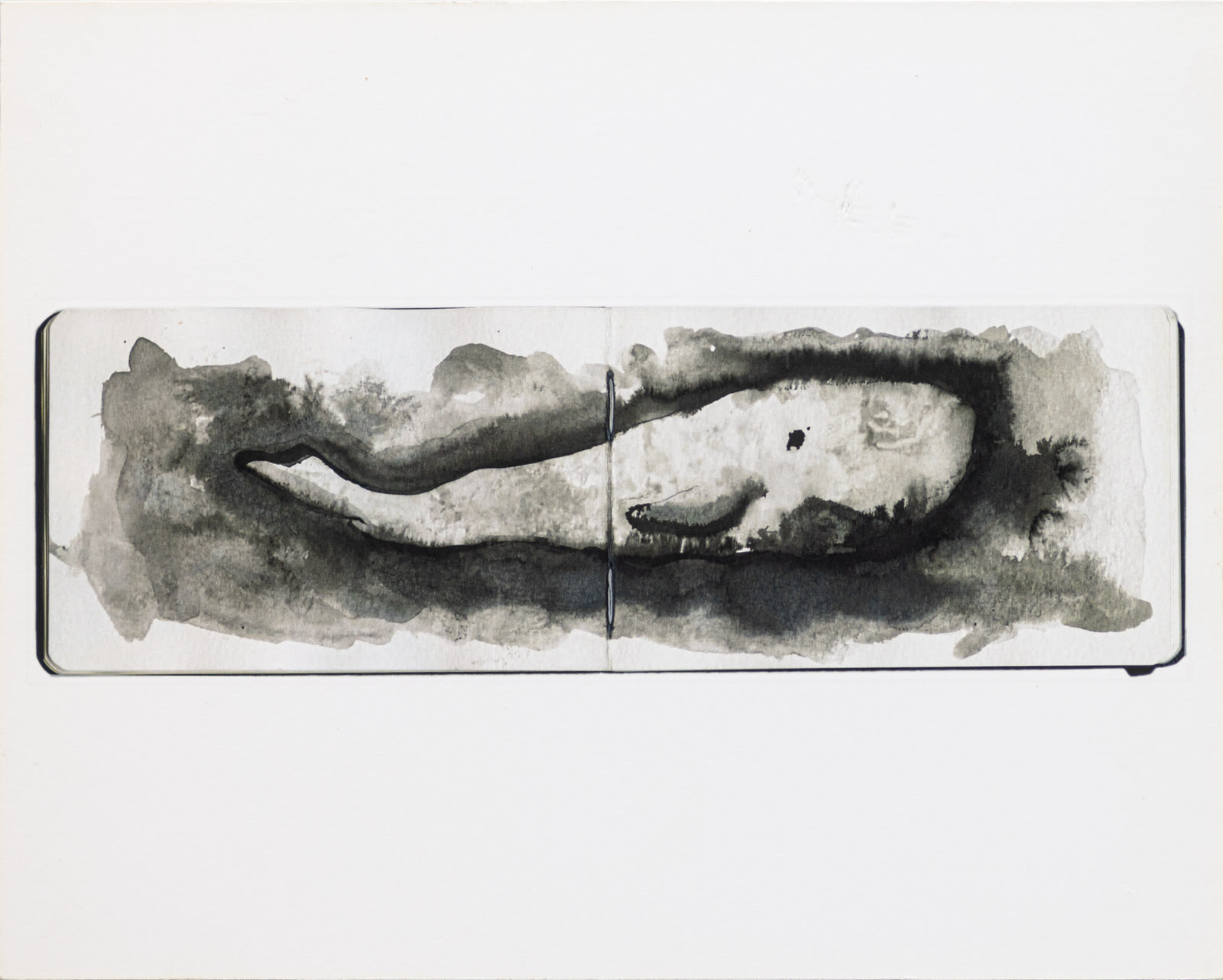 La Baleine Nuage #1