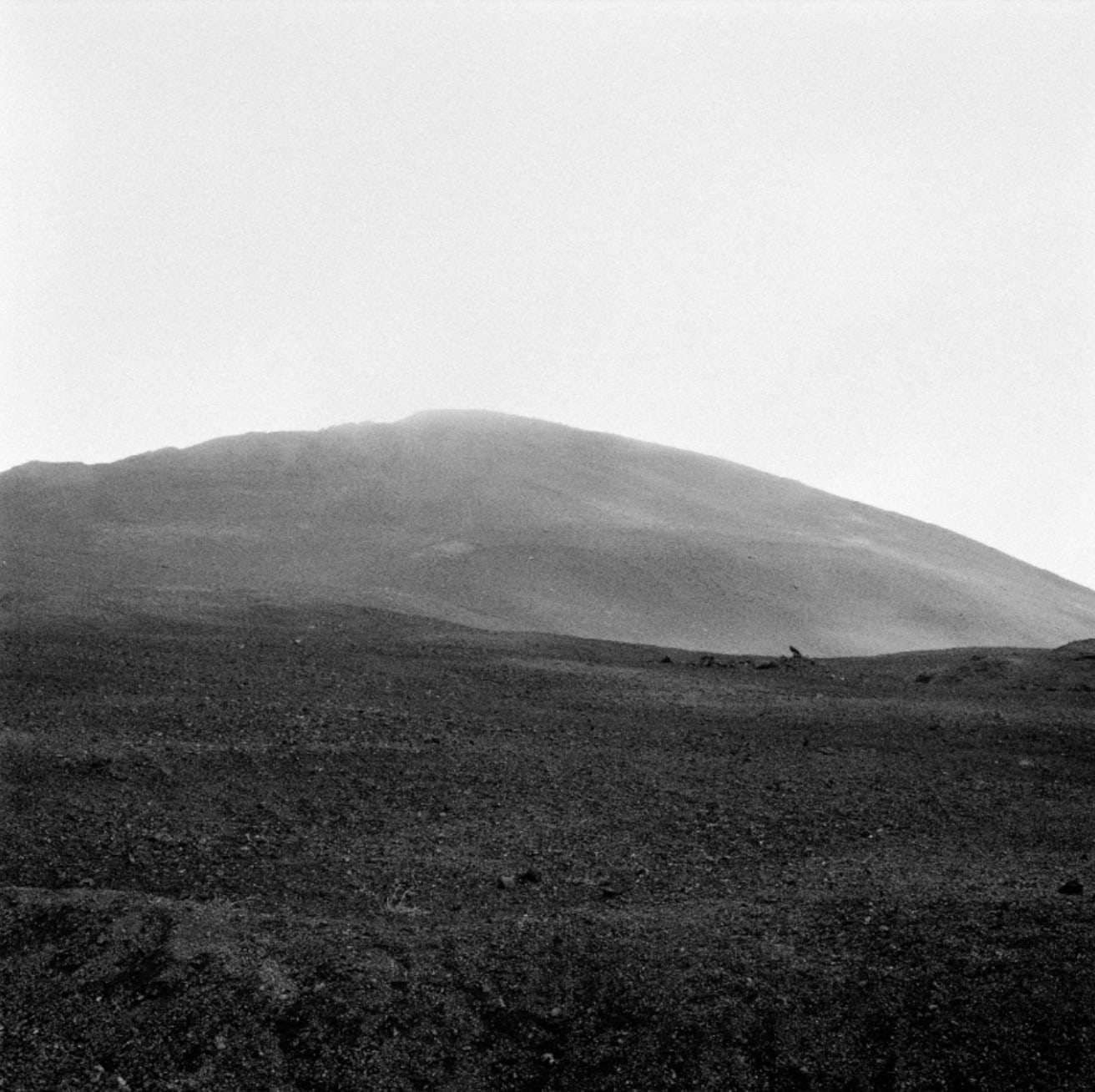 La peau, île de la réunion