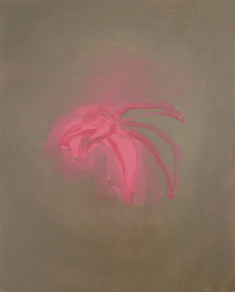 Untitled #3, série Flowers