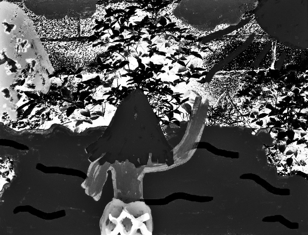 Vuma from the series Sabela Uyabizwa