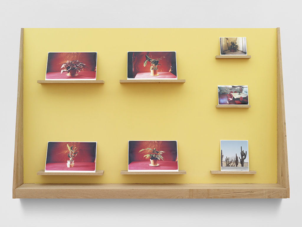 Choreography of the Image : Inserts - Nature (Substitute)